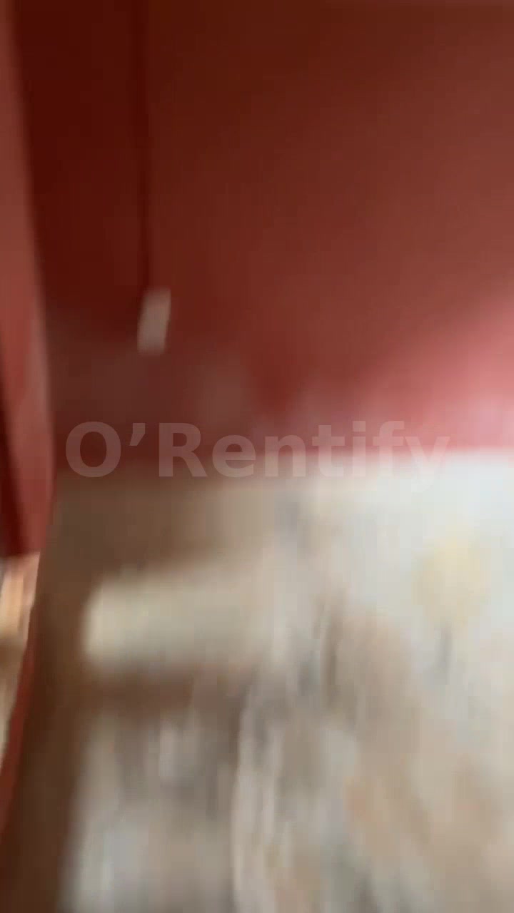 a neat spacious self con to let photo 4