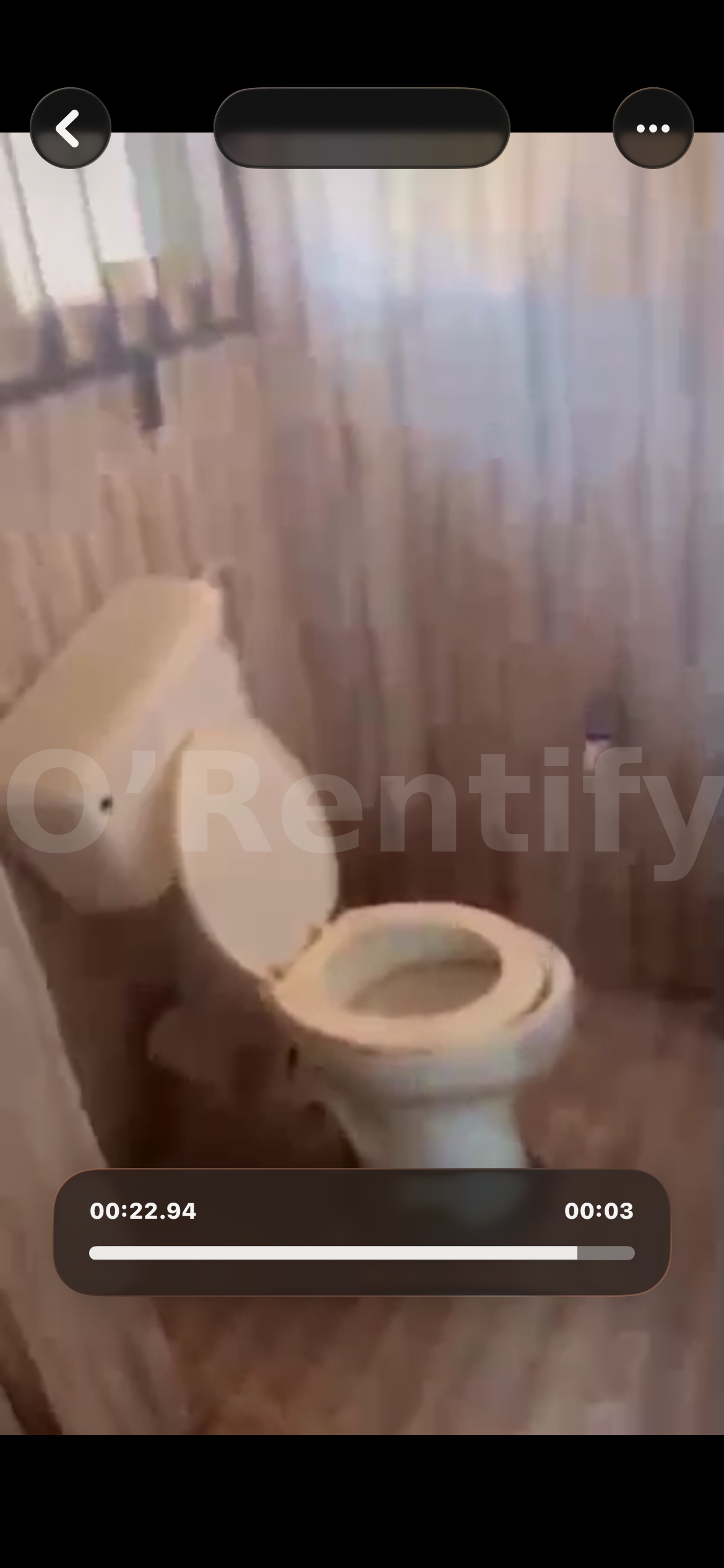 a neat spacious self con to let