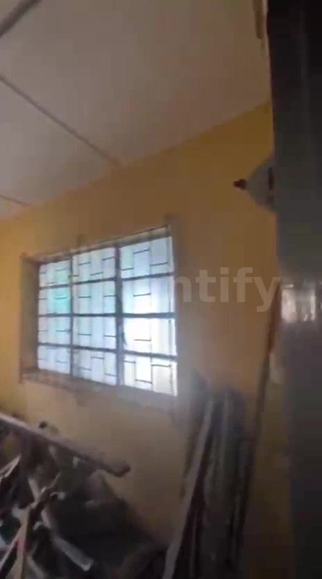 A decent, Spacious, Standard, Nice, Newly Renovated Mini flat,  screeded walls & painted, Band A electricity, personal p in Nigeria