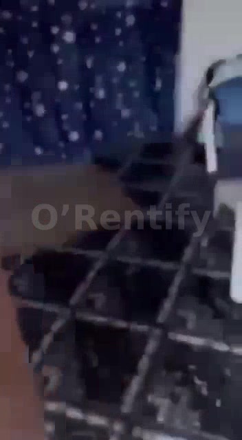 a neat spacious self con to let