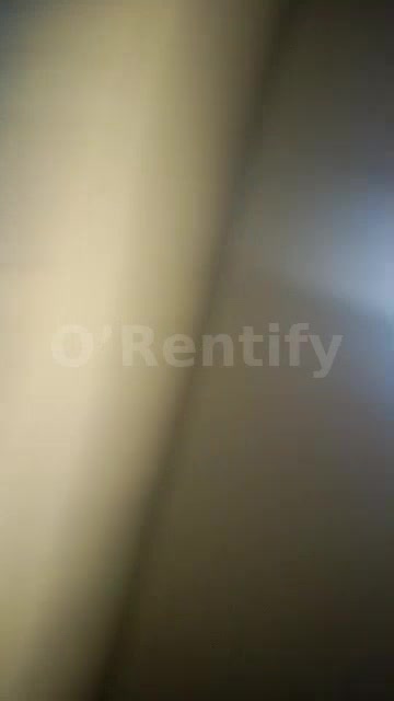 a neat spacious self con to let photo 6