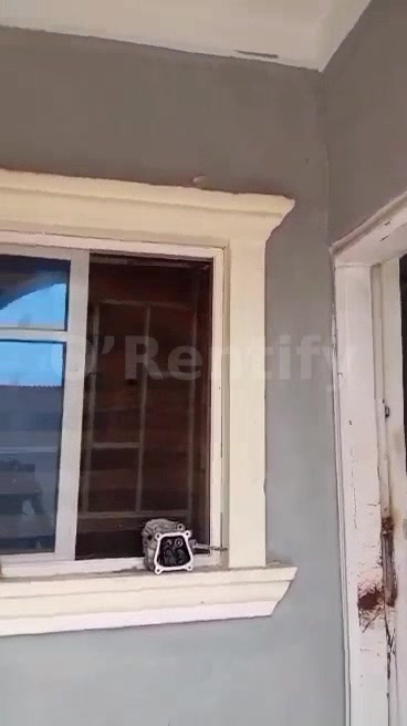 Room parlour selfcontain is available at osundala rent 370k running with water fully tiler full Pop fence kitchen cabine photo 4
