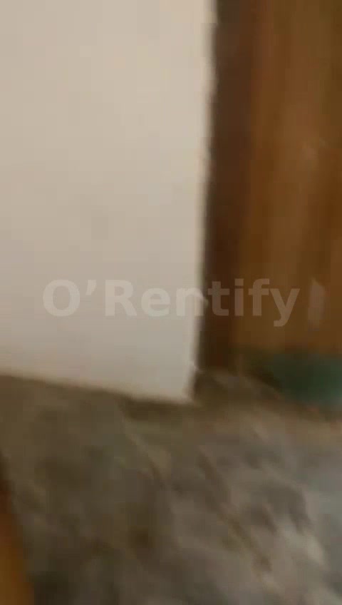 sharp single room available at futa Southgate,like 7-10 minutes to gate Rent Featur photo 3