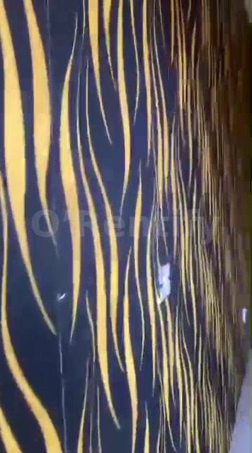A room self con at futa south I2 22:24 minutes to gate Tiled Water running in compound Electricity Fenced in Akure south, Ondo state