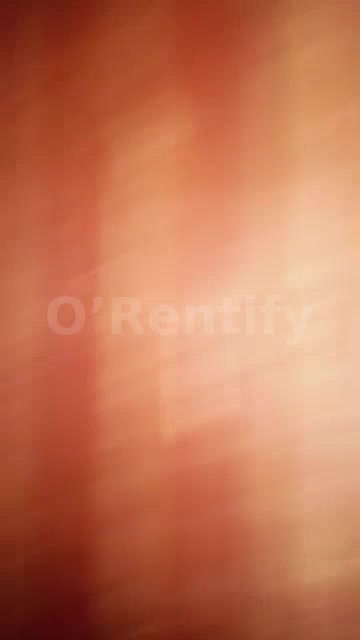 a neat spacious self con to let photo 4