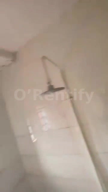 Executive, very decent, standard and nice units of superb, spacious and exquisitely finished MINIFLAT at OFF MARKET STRE photo 6