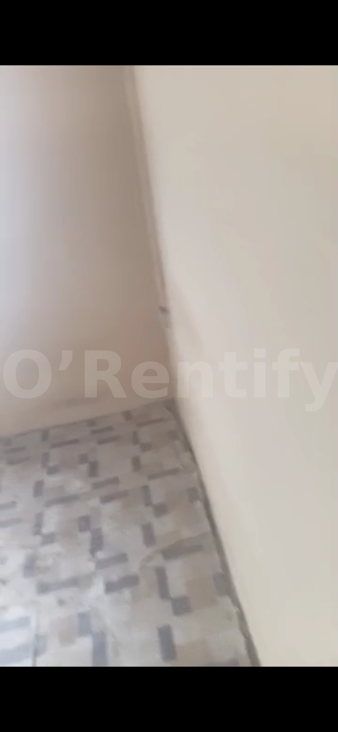 a neat spacious self con to let photo 2