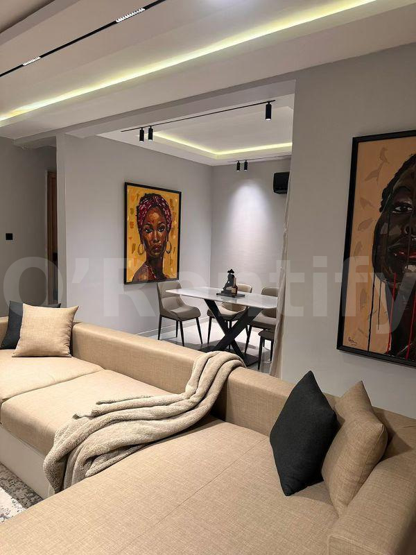 Two bedroom luxurious apartment   Location: Keffi street, Ikoyi Lagos photo 8