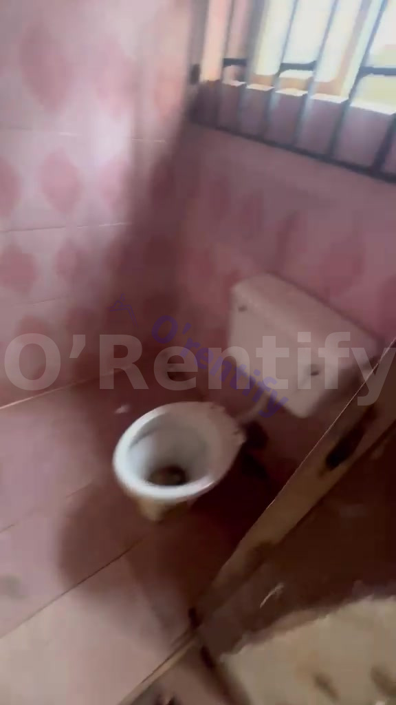 A sharp selfcontain at futa South gate  1mins walk to school gate photo 6