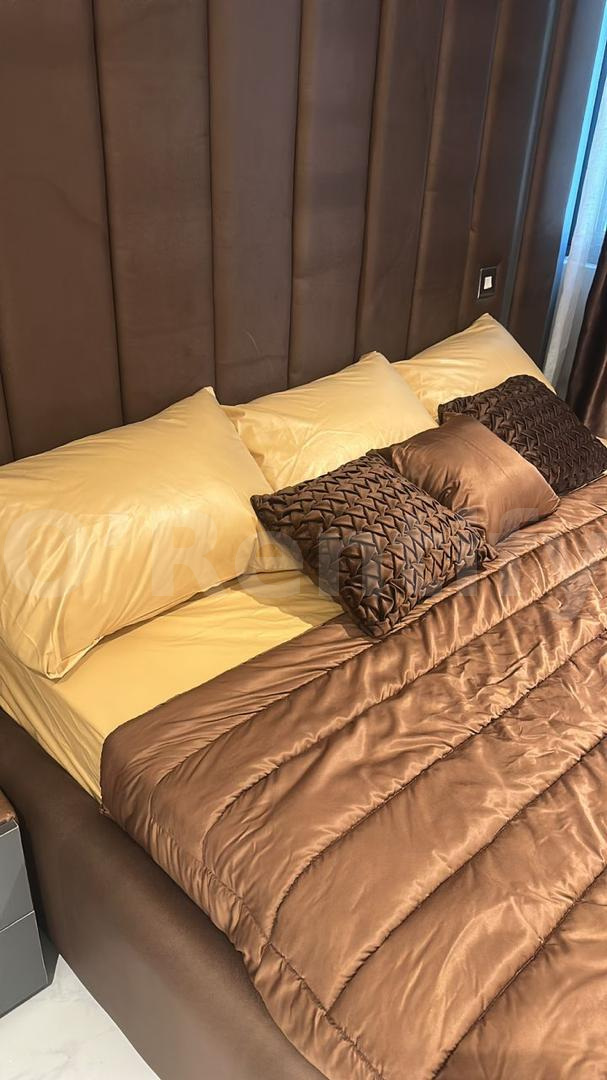 One bedroom luxurious apartment   Location: Iconic Towers, Victoria island. Lagos photo 5