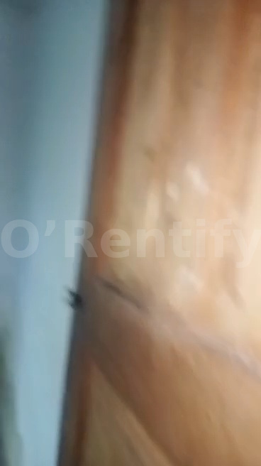 Spacious single room is available  at permanent site photo 4